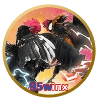 95winx